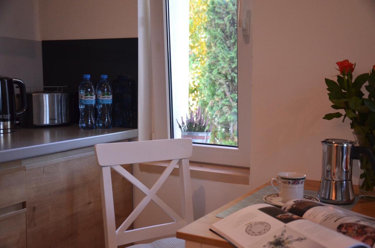 Apartamenty Turystyczne Willkassen Giżycko Εξωτερικό φωτογραφία